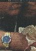Piaget 1980 32.jpg